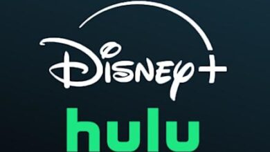 39243580 efec 11f0 b977 13ef683dd3d1