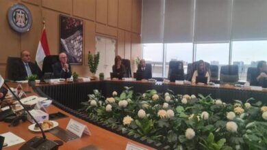 مصر وإصلاح المالية العامة