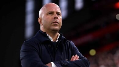 newFile 1 scaled e1734447598891