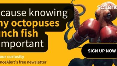 دواء واعد لدهون الدم