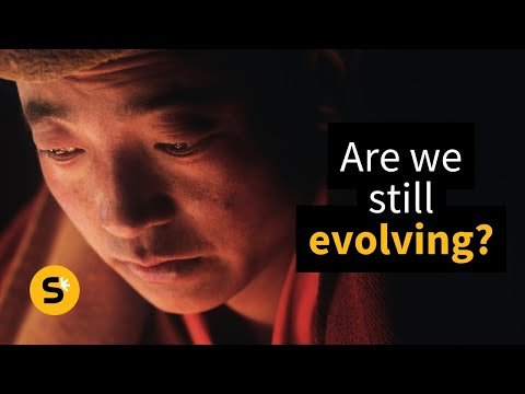 الهيمالايا تكشف سر التطور البشري: تكيف فريد مع قسوة الطبيعة 1 تطور-البشر-التبت-الأكسجين