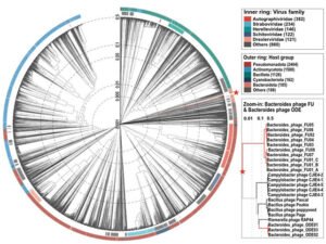 سرطان-القولون-بكتيريا-فيروس-مجهول