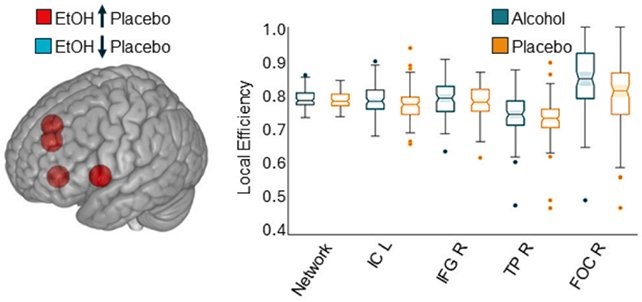 الكحول-يعزل-الدماغ-ويشوش-الوعي
