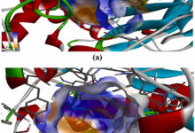 مركب-الصبار-الزهايمر-علاج-مستقبلي