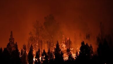 تجاوز أهداف اتفاق باريس المناخي: موجات حر قياسية تنذر بتكاليف اقتصادية عالمية 6 حرارة قياسية تتجاوز أهداف باريس