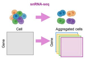 خريطة-جينية-الزهايمر-علاج-جديد
