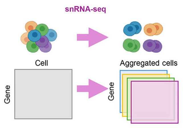 خريطة-جينية-الزهايمر-علاج-جديد