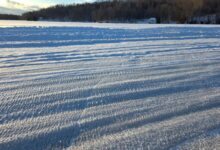 سباقات-الجليد-تحدي-السيطرة