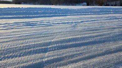 سباقات-الجليد-تحدي-السيطرة