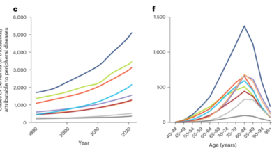 ثلث حالات الخرف عالميًا قد ترتبط بأمراض خارج الدماغ 36 أمراض محيطية والخرف