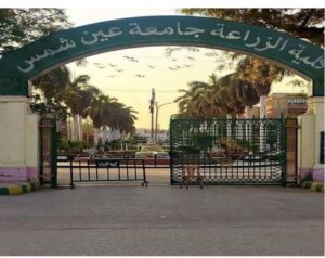 ملتقى زراعة عين شمس: الذكاء الاصطناعي وسوق العمل الزراعي