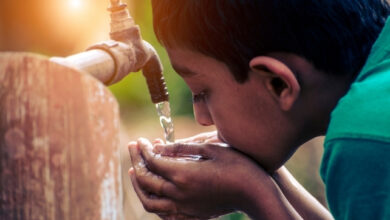 فوائد شرب الماء الساخن: حقيقة أم مجرد رواج؟ 38 حقيقة فوائد الماء الساخن