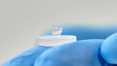 ابتكار علمي غير مسبوق: 'قلب على شريحة' ثلاثي الأبعاد يمهد لثورة في مكافحة أمراض القلب 1 قلب-على-شريحة-ثلاثي-الأبعاد-ثورة-طبية