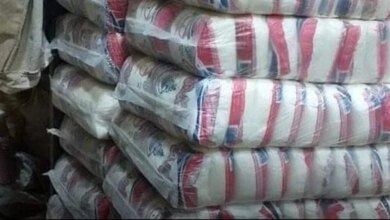 سعر طن السكر يبقى ثابتًا على أرض المصانع وسط تحركات عالمية غير متوقعة 1 سعر-السكر-ثابت-مصر-2026