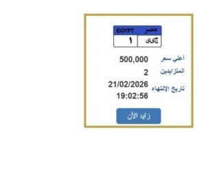 مزاد-لوحات-مرور-مصر-الكتروني