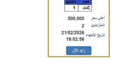 مزاد-لوحات-مرور-مصر-الكتروني