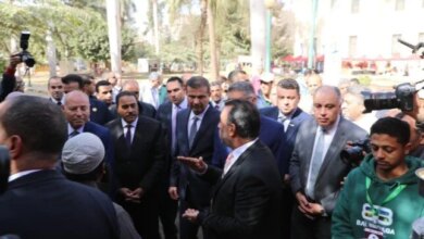 مصر رائدة التمور