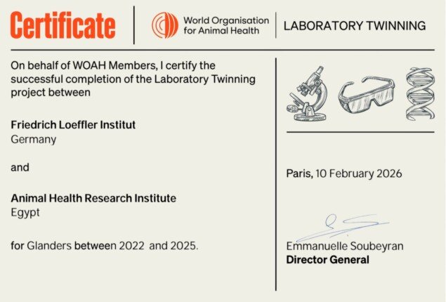 مصر-الصحة-الحيوانية-اعتماد-عالمي-الخيول