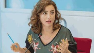 ساندرا-نشاط-السينما