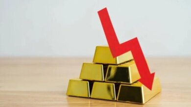 هبوط-الذهب-مصر-وثائق-الاستثمار