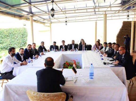 وزير الخارجية يبحث تعزيز الاستثمار المصري بكينيا