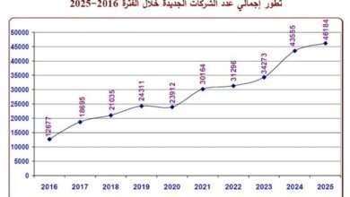 شركات-مصر-2025