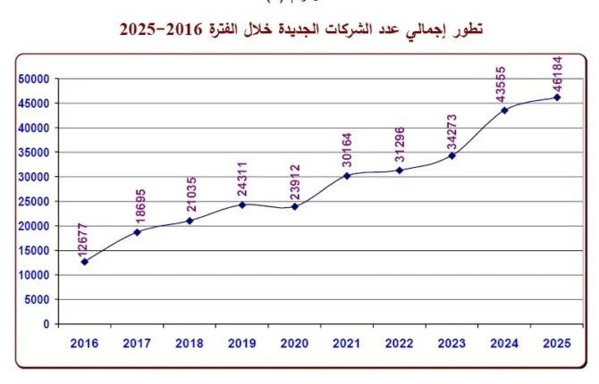 شركات-مصر-2025