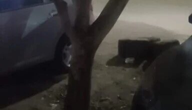 لغز جثة أسيوط