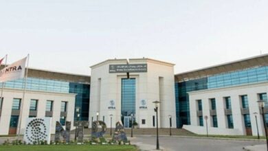 مزاد الأرقام المميزة بمصر