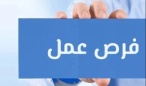 حبس محتال الكيان التعليمي الوهمي