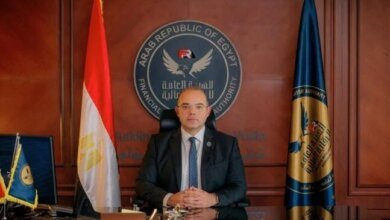 إطار التأمين متناهي الصغر