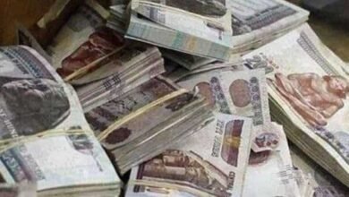 غسل أموال الأسلحة بالقليوبية
