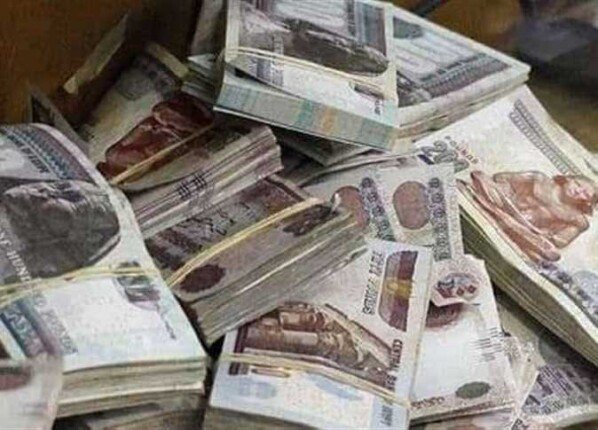 غسل أموال الأسلحة بالقليوبية