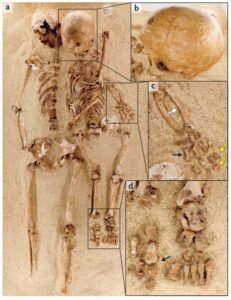 سر قصر قامة سيدات العصر الجليدي