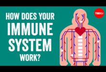 لقاح-أنفي-شامل-فيروسات-بكتيريا-حساسية