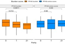 كيماويات الأبدية والأجنة