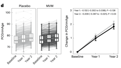 فيتامينات_تبطئ_الشيخوخة