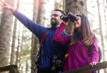 حماية-العقل-من-التدهور