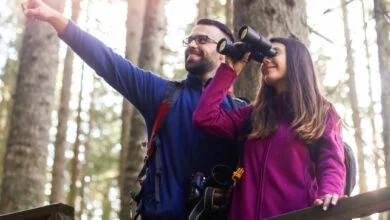 حماية-العقل-من-التدهور