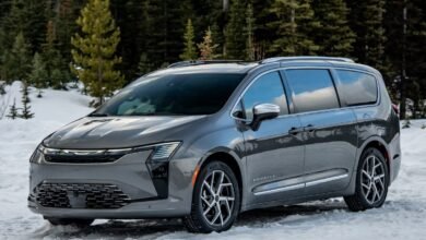 باسيفيكا-كارنيفال-مواجهة-الفانات