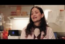 براز-مسن-مبايض-فئران