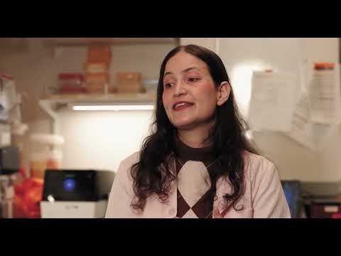 براز-مسن-مبايض-فئران