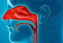 الدورة-الأنفية-وسر-التنفس-من-فتحة-واحدة