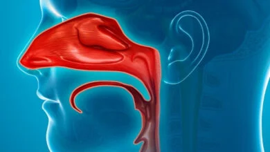 الدورة-الأنفية-وسر-التنفس-من-فتحة-واحدة