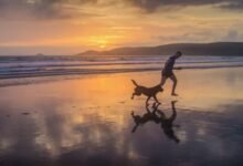 تمرين-الذاكرة-الدماغ-صحة-عربية