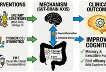 الأمعاء-الدماغ-مكافحة-الخرف