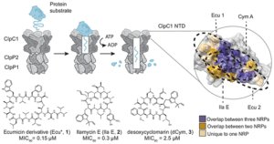 مكافحة_السل_المقاوم