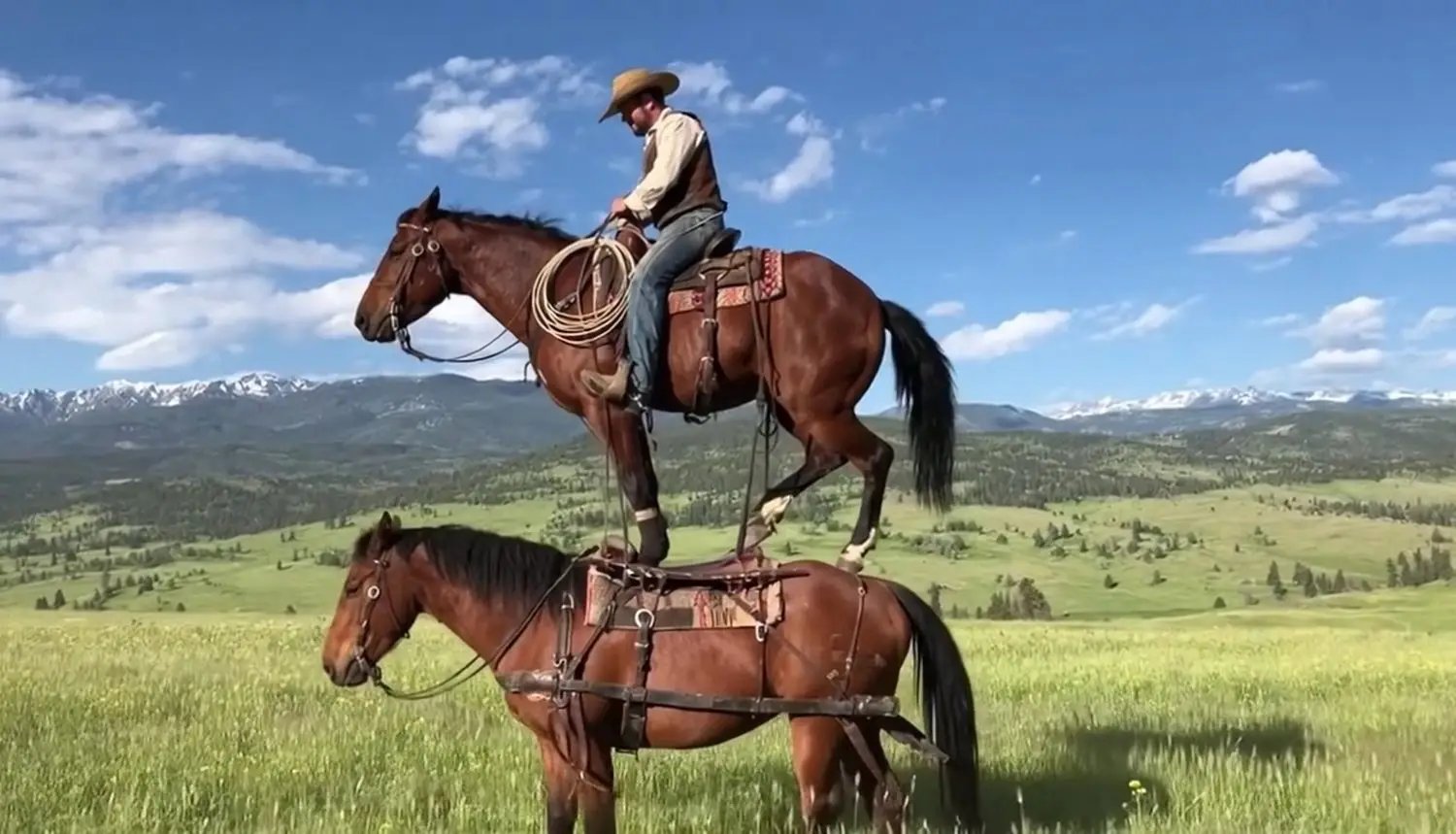 OpenAI تقتل مشروع «سورا»: نهاية طموحات الفيديو بالذكاء الاصطناعي 1 نهاية-سورا-OpenAI