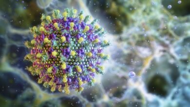 فيروسات-حيوانية-بشرية