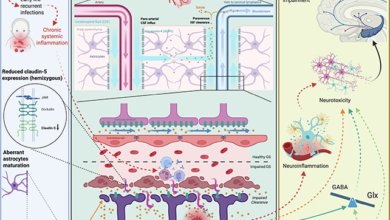 سباكة الدماغ والذهان
